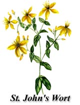 St. Johns Wort