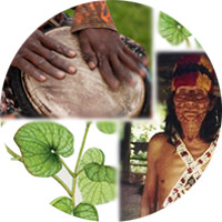 Collage of a shaman, drum and kava