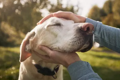 Techniques de relaxation - Neuromedia