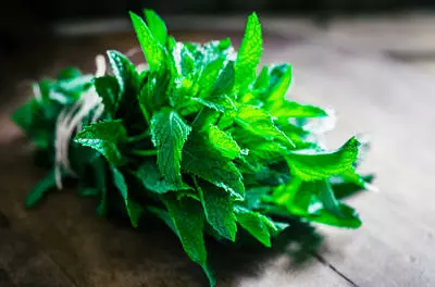 bunch of green herbs on a wooden table