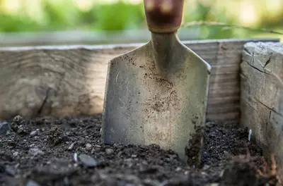 shovel in dirt