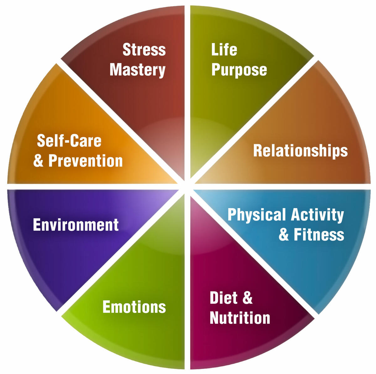 Your Healthy Lifestyle Tools | Taking Charge Of Your Wellbeing